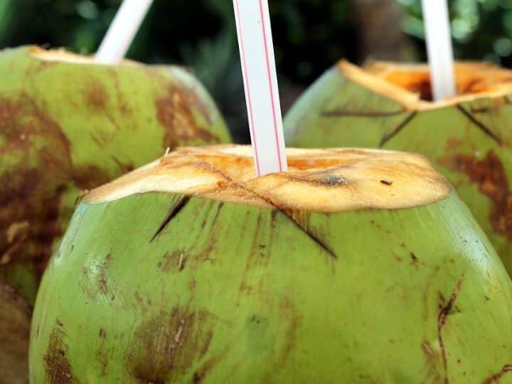 क्या पर्यटकों के लिए 'नारियल पानी' भरा हुआ है या नहीं?  जरूर जान लें