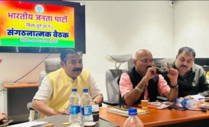भाजपा के दुर्ग जिला स्तरीय संगठनात्मक बैठक संपन्न